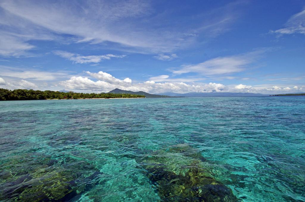 Bunaken Divers Sea Breeze Resort Ngoại thất bức ảnh