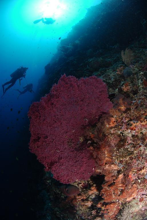 Bunaken Divers Sea Breeze Resort Ngoại thất bức ảnh